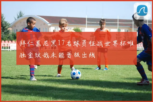 拜仁慕尼黑17名球员征战世界杯唯独金玟哉未能晋级出线